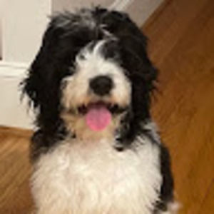 Meet your Posher, Karrin